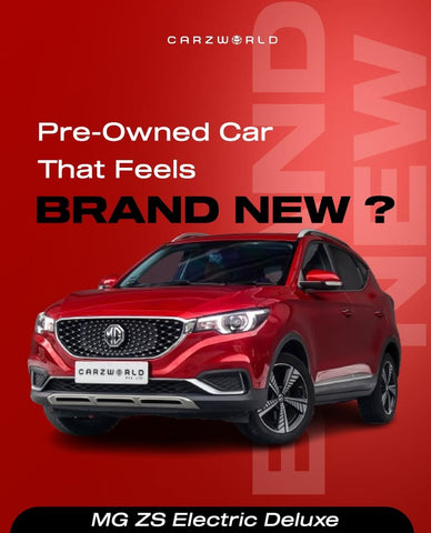 What's new from Our Facebook/Instagram Today?