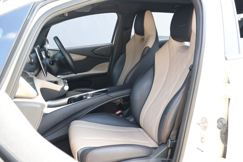 BYD Dolphin Electric Dynamic