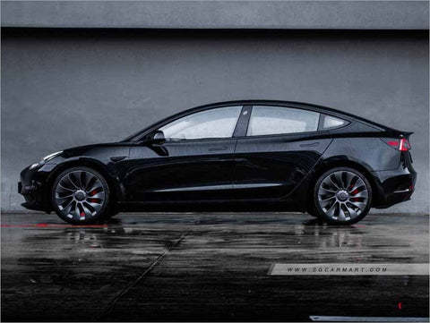 Tesla Model 3 Electric Performance AWD