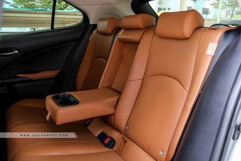 Lexus UX Hybrid UX250h Luxury