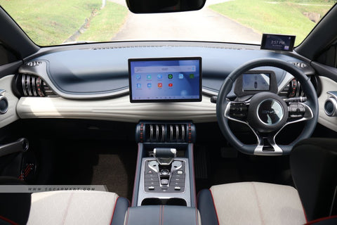 BYD Atto 3 Electric Sunroof