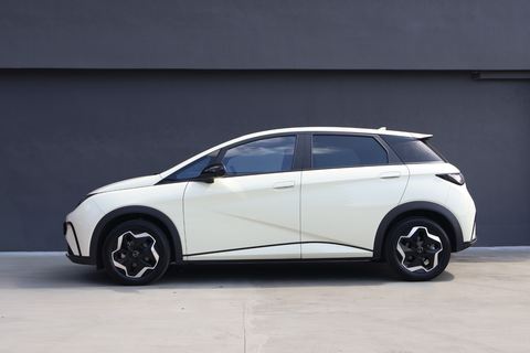 BYD Dolphin Electric Dynamic