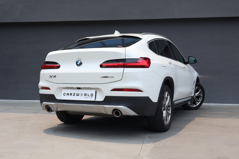 BMW X4 xDrive20i xLine