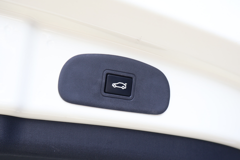 BYD Dolphin Electric Dynamic