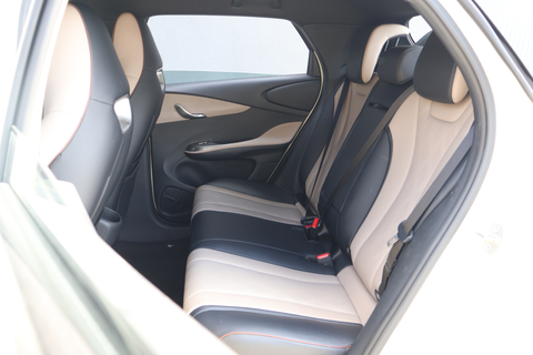 BYD Dolphin Electric Dynamic