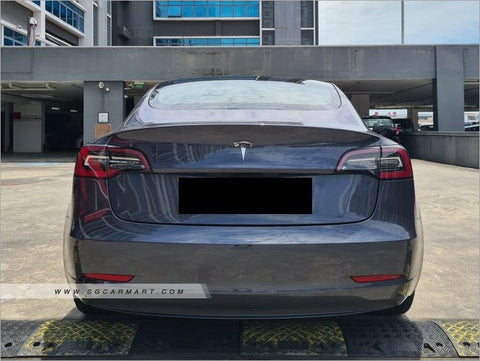 Tesla Model 3 Electric Standard Range Plus (Full-Self Driven Software Inc)