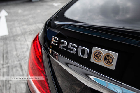 Mercedes-Benz E-Class E250 Avantgarde