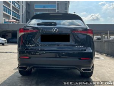(LEASE) Lexus NX Turbo NX300